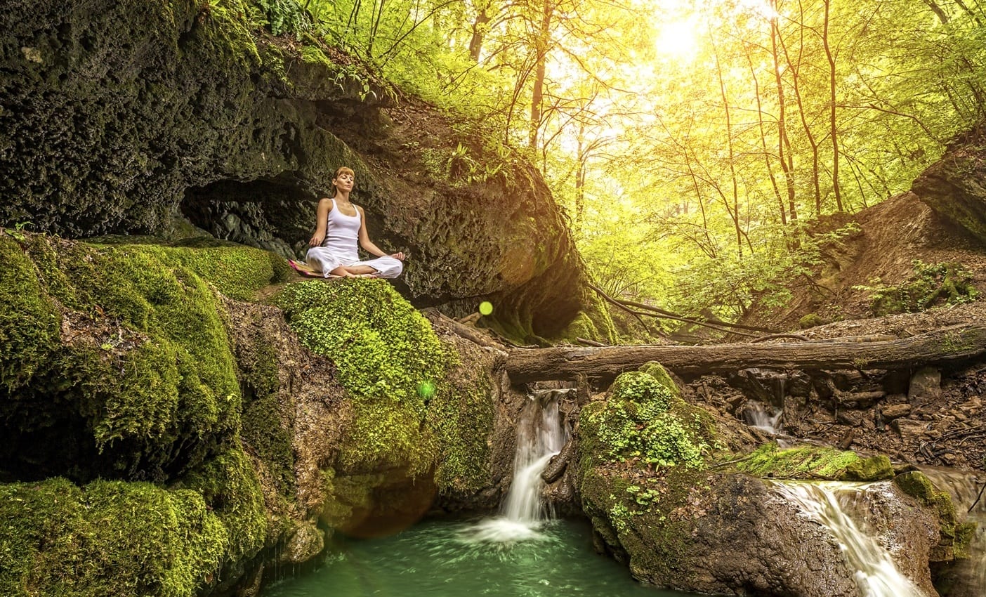 Wellness Area